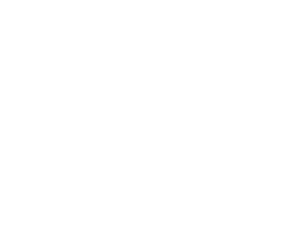 Icona nodi distribuzione